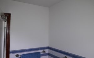 bathroom painting in Montclair NJ