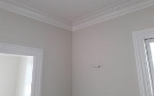Painting in Cedar Grove